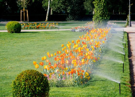 Automatische Gartenbewässerung